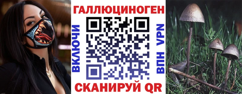 Галлюциногенные грибы Psilocybe Алушта